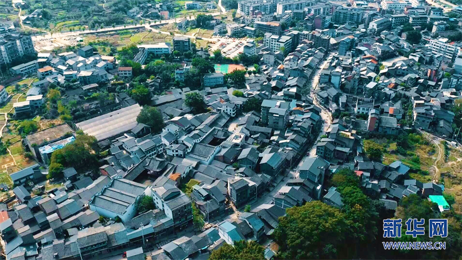 重庆：生态修复 荒地开“花”