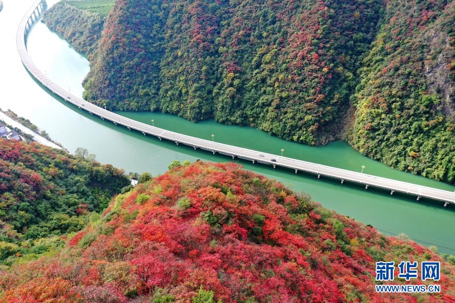 湖北兴山：“水上公路”冬景斑斓