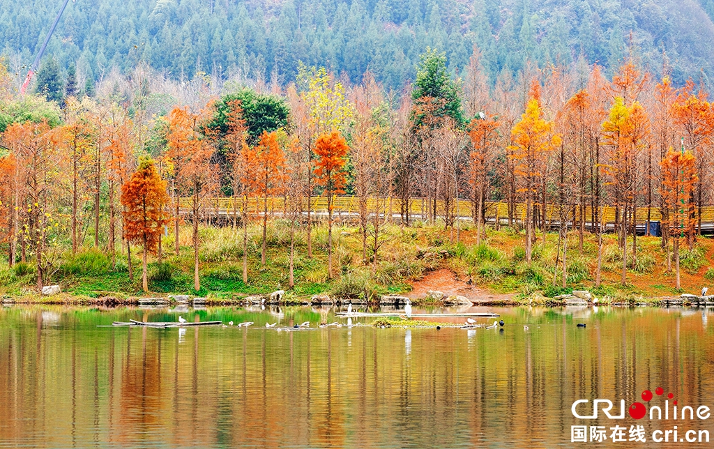 贵州六盘水：藏在初冬时节的秋景 如诗如画_fororder_5