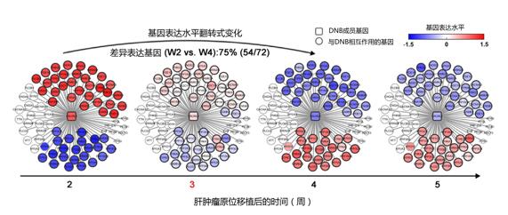 图片默认标题_fororder_2