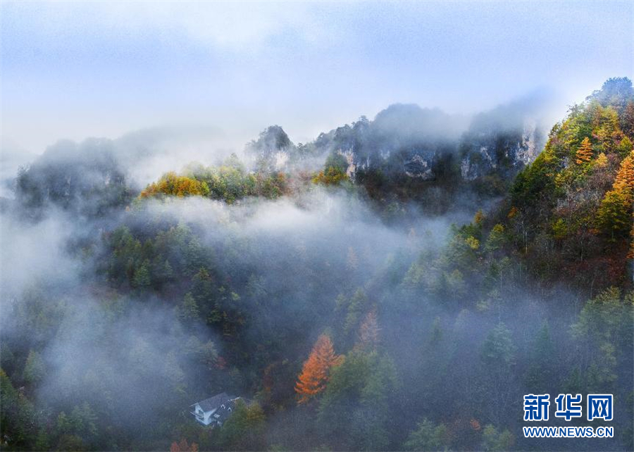 行至神农架 风景正好