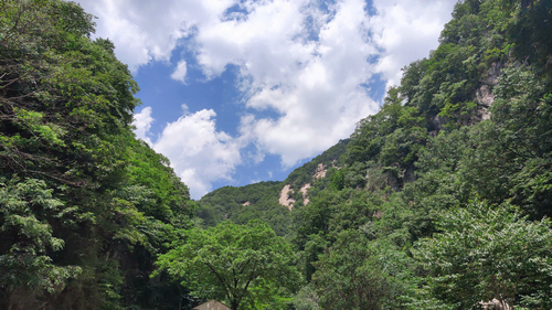 【河南供稿】平顶山市鲁山县扎实推进环境污染防治工作