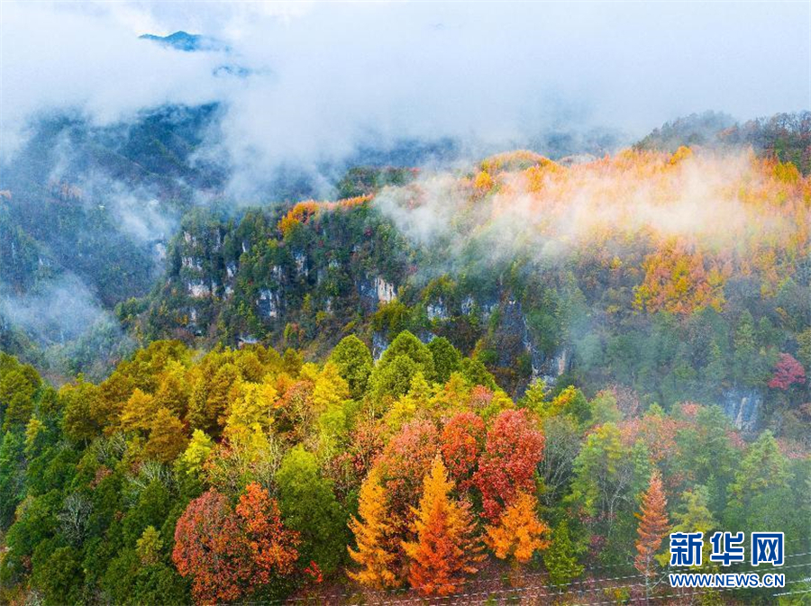 行至神农架 风景正好