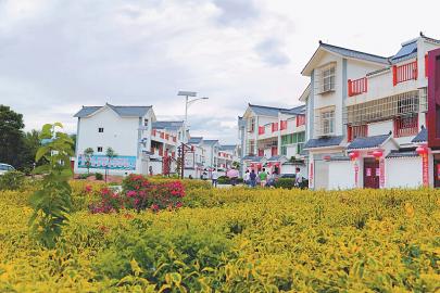 咬定“穷根”不松劲 苦干实干换新貌