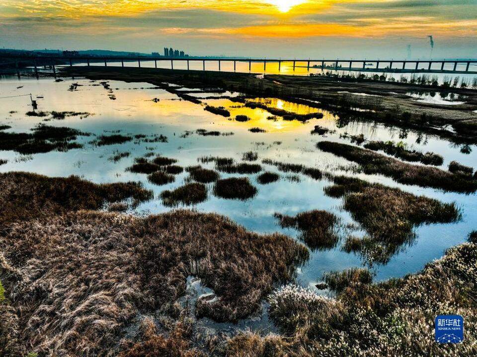 河南济源：黄河湿地冬景如画