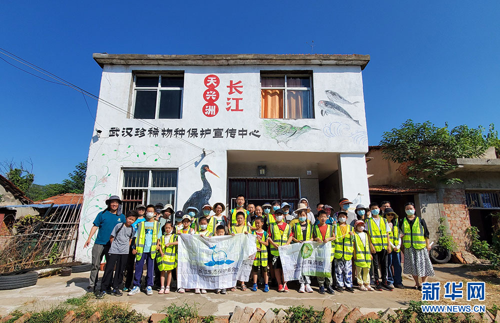 人鸟和谐 武汉江心岛变生态乐园