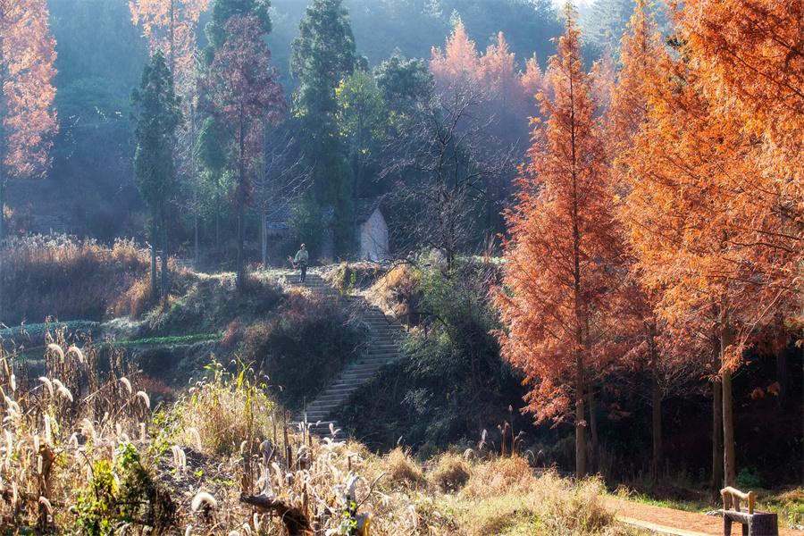 【原创】信阳市商城县：冬日黄柏山 秀美如画卷_fororder_野村归人  余敦梅 摄