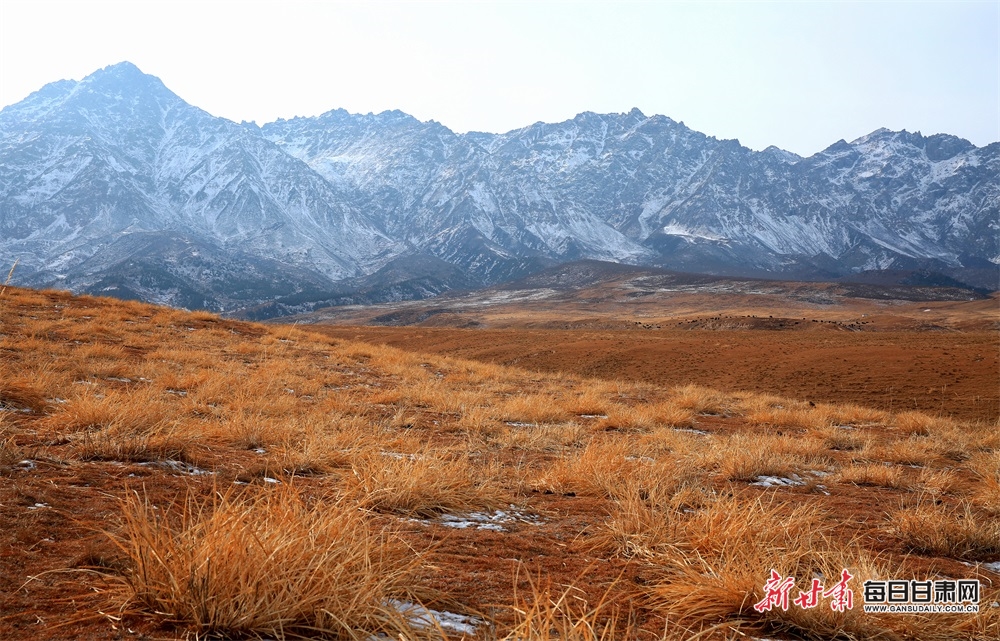 【轮播图】张掖肃南苍龙雪山冬日美景迎远客_fororder_5