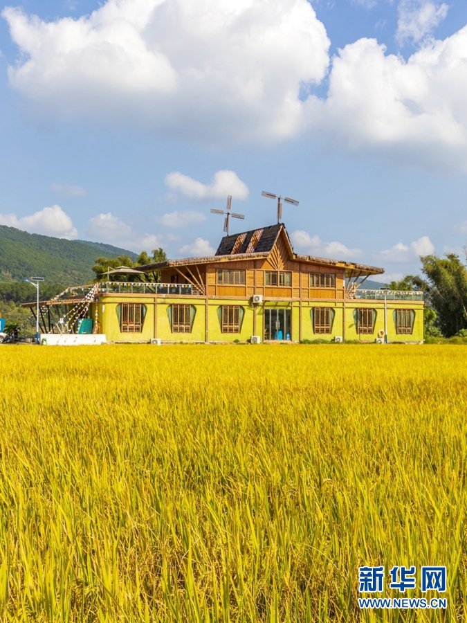 广西南宁：“碎地”变良田 稻田成乐园