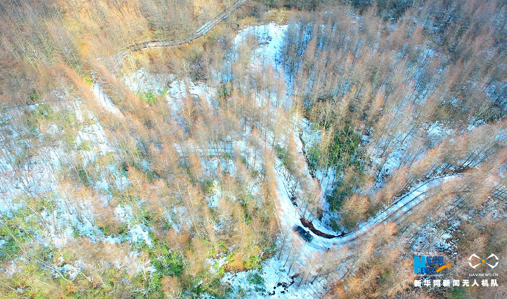 【渝情渝景】重庆猫儿背 冬季枯木遇上初春白雪