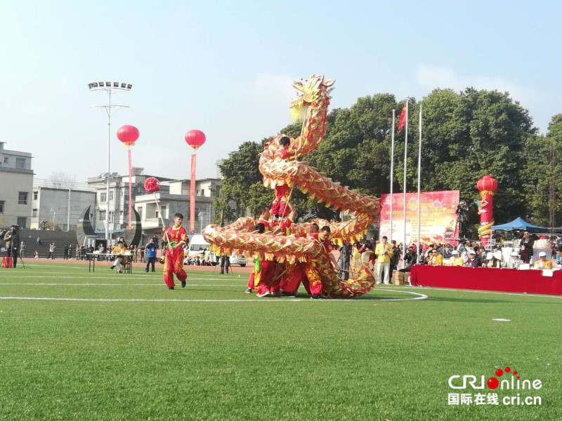 【已过审】【焦点图】【八桂大地、八桂大地-贺州】【旅游文体】【移动端】富川上演中国-东盟国际龙狮争霸赛