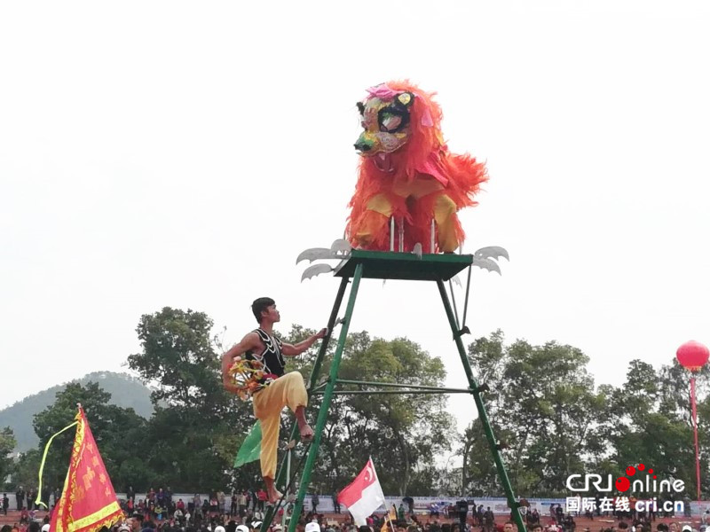 【已过审】【焦点图】【八桂大地、八桂大地-贺州】【旅游文体】【移动端】富川上演中国-东盟国际龙狮争霸赛