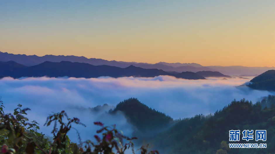 湖北郧西：云海“峰”景美如画