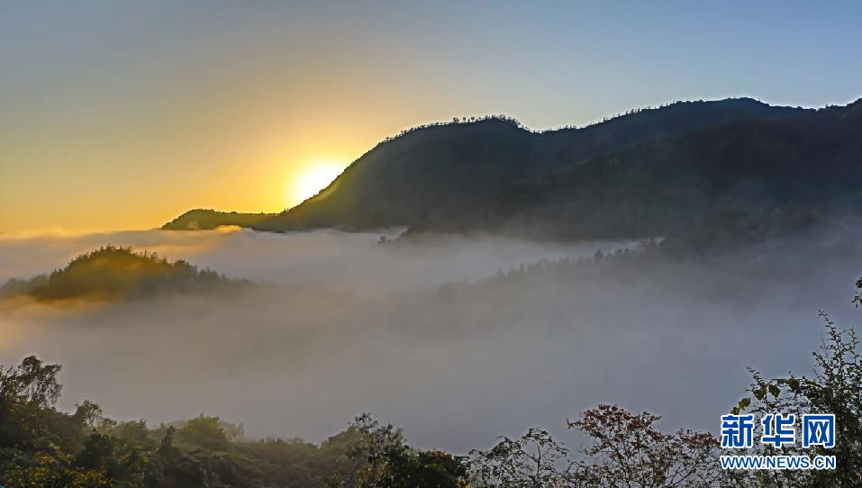 湖北郧西：云海“峰”景美如画