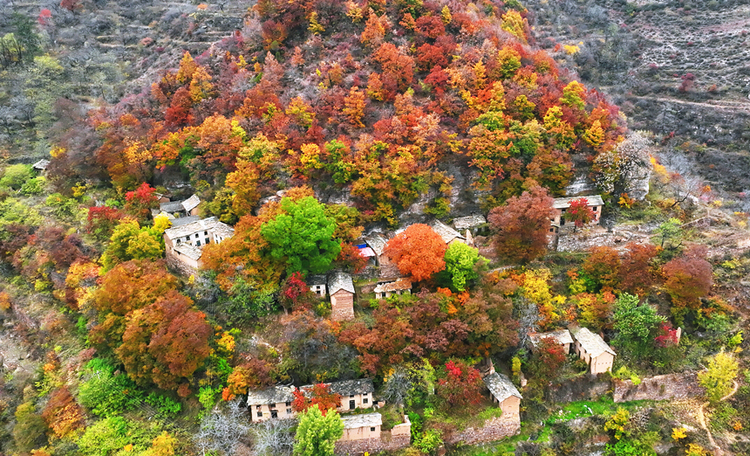 古村胜景：一幅“挂”在太行山上的油画