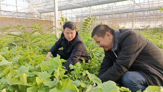 淮安市淮安区车桥镇丰年村党总支书记卢攀峰：勇做乡村振兴的“急先锋”_fororder_图片1