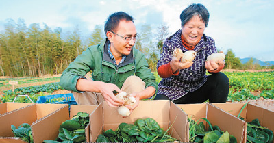 新发布的《促进个体工商户发展条例》开始施行