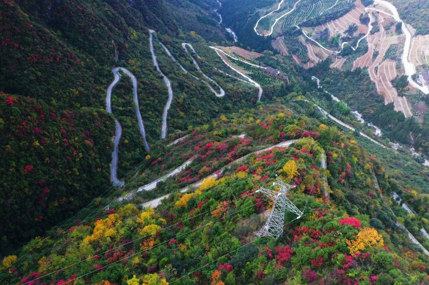 【城市远洋带图】重庆巫山：初冬下庄 风景如画