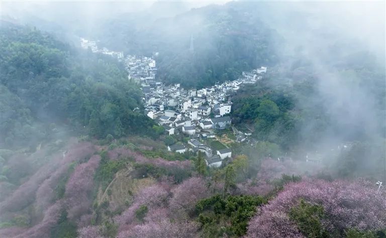 世界的黄山 黄山的世界——由春之中国屯溪“国际会客厅”到冬之黄山市国际高端“1+6”圆桌对话会的回眸_fororder_微信图片_20221216090127