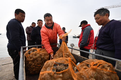 海螺丰收 “美味”增收