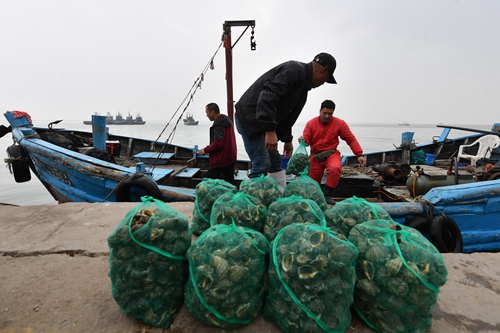 海螺丰收 “美味”增收