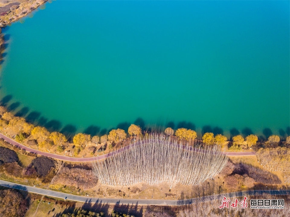 【张掖】张掖芦水湾公园的冬日美景