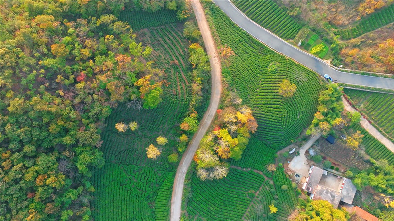 信阳浉河区：初冬尖山美如画_fororder_初冬的尖山，风景秀丽，景色宜人。 （浉河区新闻中心  戴梯 摄）