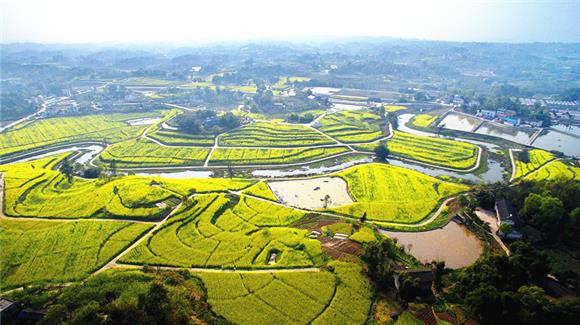 【行游巴渝 标题摘要】赏花采果正当时 江津发布6条春季旅游精品线路