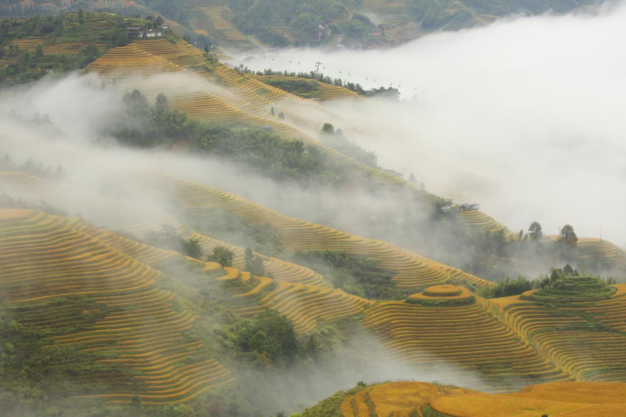 广西首个联合国世界旅游组织“最佳旅游乡村”落户龙胜大寨村_fororder_图片2