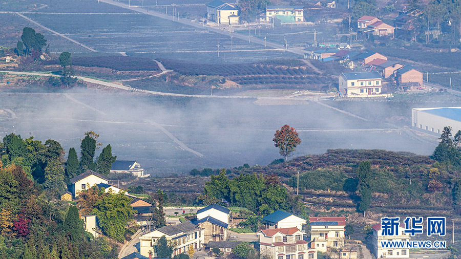 【城市远洋】带你看风景| 重庆南川：初冬田园美如画