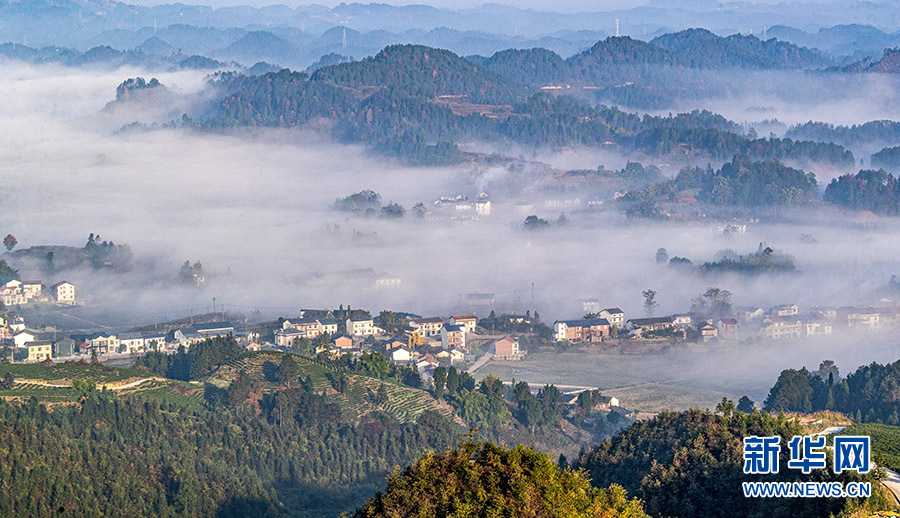 【城市远洋】带你看风景| 重庆南川：初冬田园美如画