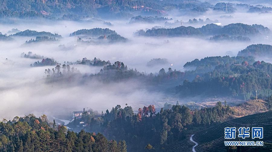 【城市远洋】带你看风景| 重庆南川：初冬田园美如画