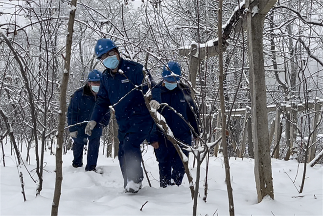 国网眉县供电公司：鏖战风雪担使命  保障供电护民生_fororder_图片27