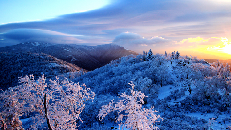 又是一年飘雪时 黑龙江倾情推介47个冰雪风光主题目的地