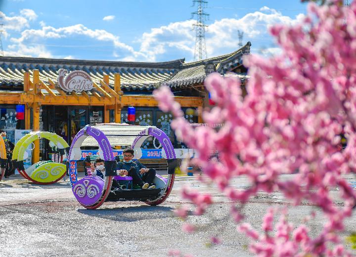 天空之眼看吉林 | 延边：红太阳照边疆 金达莱开正艳