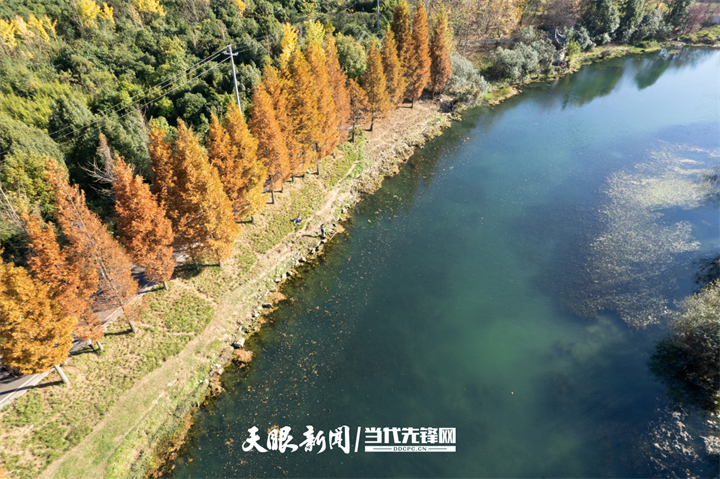 贵阳花溪：十里河滩冬景如画