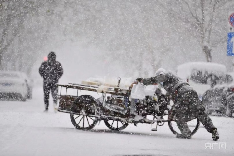 大连初雪，在冬天开始的这天