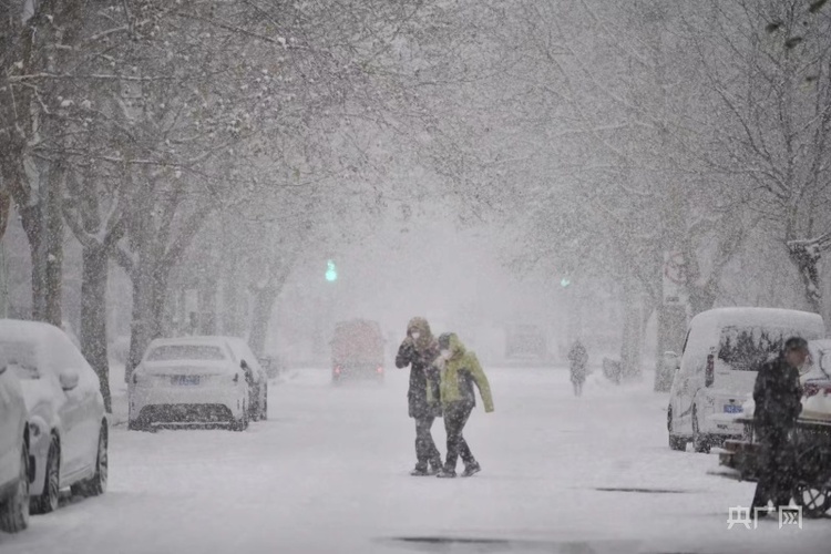 大连初雪，在冬天开始的这天