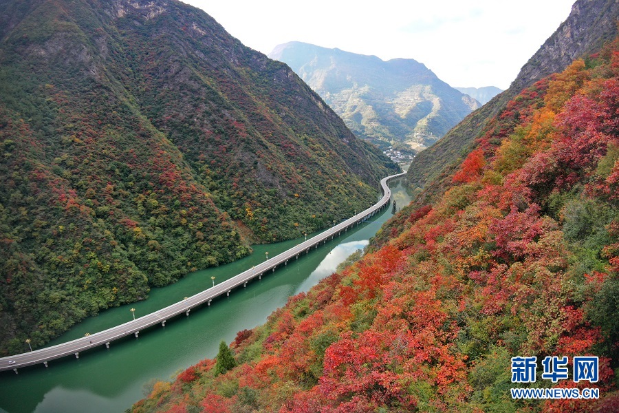 湖北兴山：“水上公路”冬景斑斓