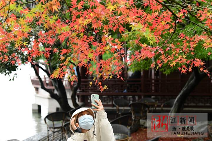 杭州：烟雨西湖“枫”景独好_fororder_1670156120535_638c8f58159bb86fa99174a1