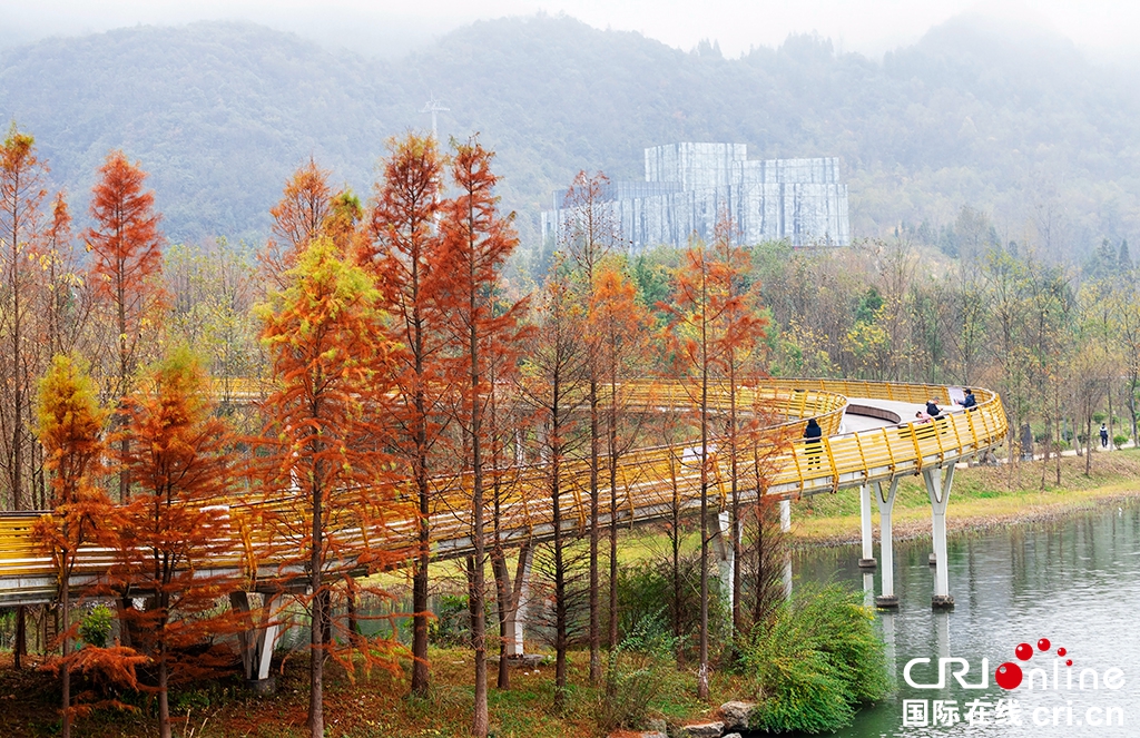 贵州六盘水：藏在初冬时节的秋景 如诗如画_fororder_2