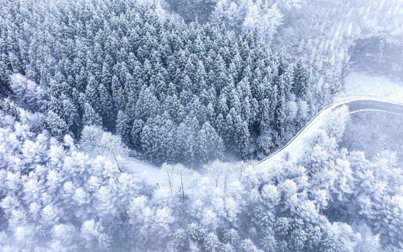 湖北建始：飞瞰林场初雪