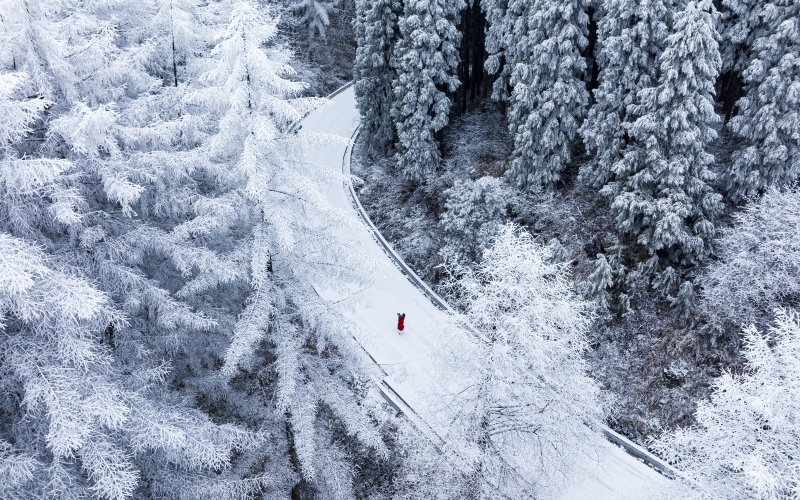 湖北建始：飞瞰林场初雪