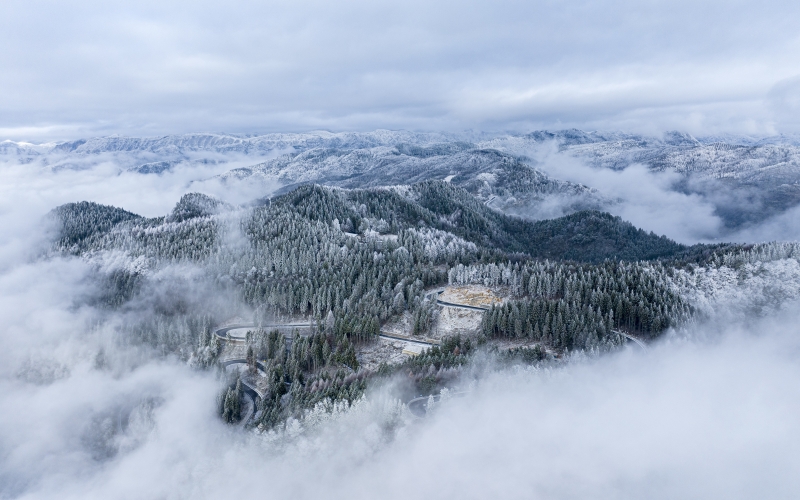 湖北建始：飞瞰林场初雪