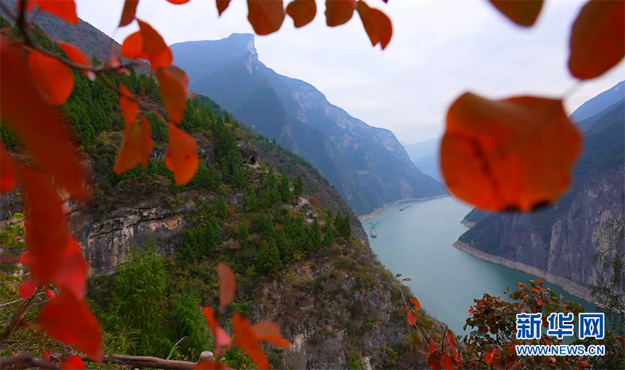 重庆：满山红叶映三峡