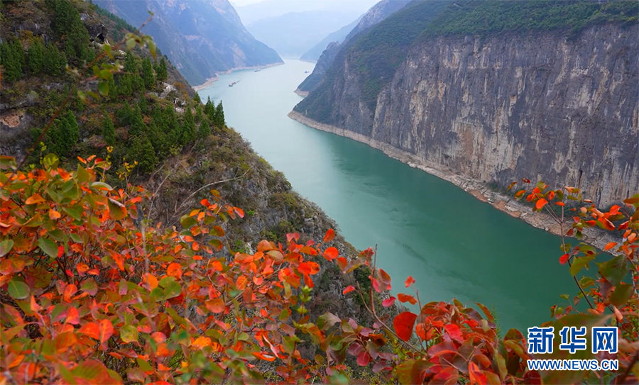 重庆：满山红叶映三峡