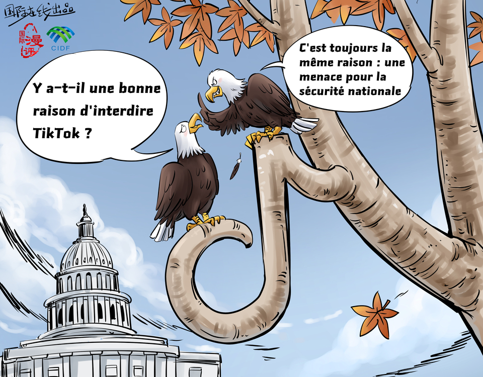 【Actualité en caricatures】Leur excuse est toujours la même_fororder_法语版