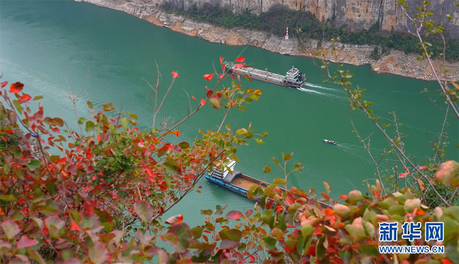 重庆：满山红叶映三峡