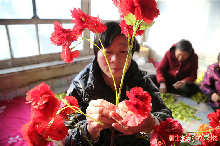 河北迁安：农民冬闲扎出增收致富幸福花