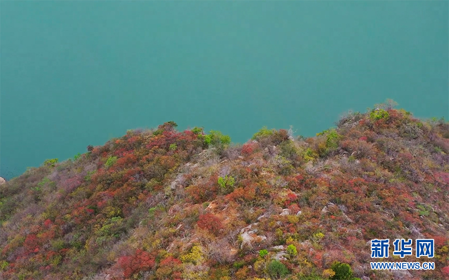 重庆：满山红叶映三峡